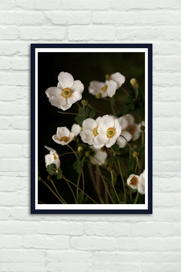 Floral Flowers BOTANICAL SINGLE CANVAS WALL ART Picture Print VA