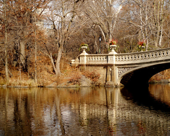 Central Park in the Fall Wall Art Foliage Photography to Make Your Heart Sing