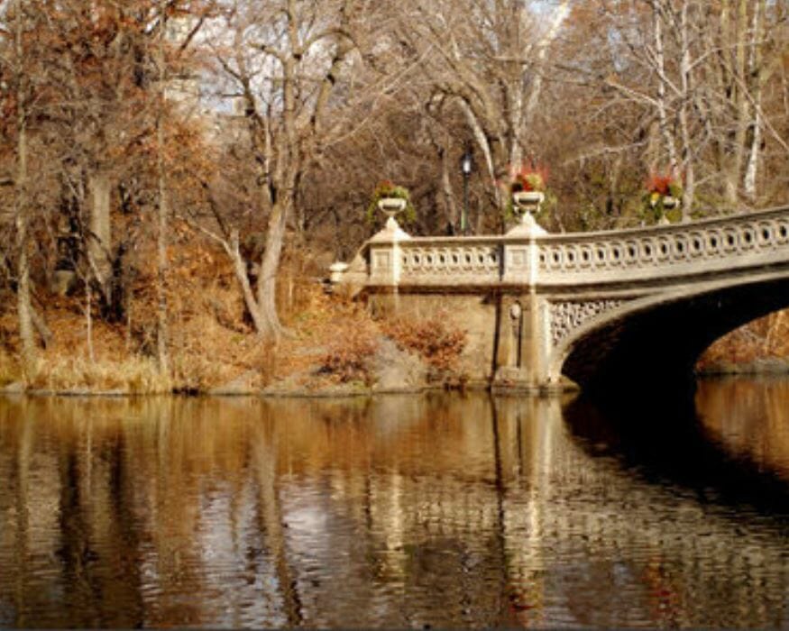 Central Park Fall Foliage Photography to Make Your Heart Sing